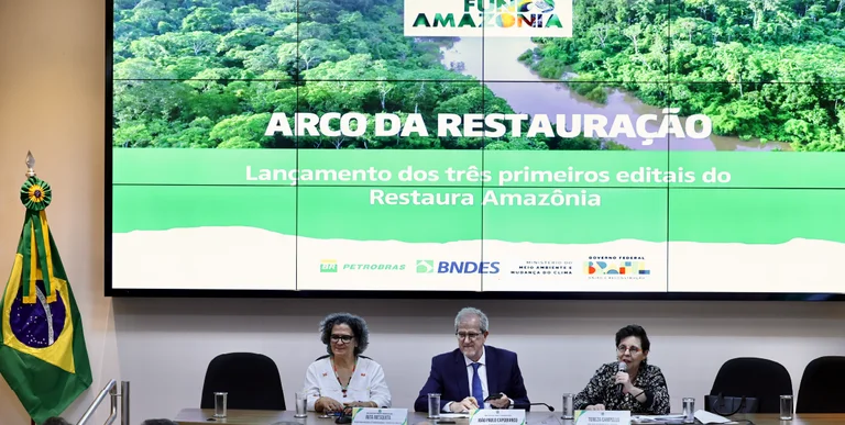 MMA e BNDES lançam os primeiros editais para restauração da Amazônia com um investimento inicial de R$ 100 milhões