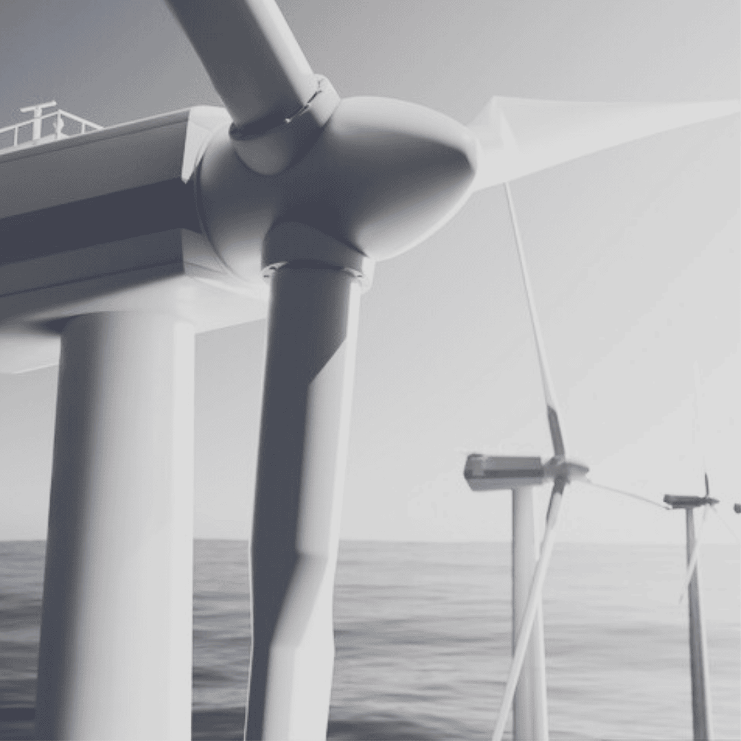 Crise no Setor Eólico do Nordeste: Empresas Registram Prejuízos e Congelam Projetos Bilionários