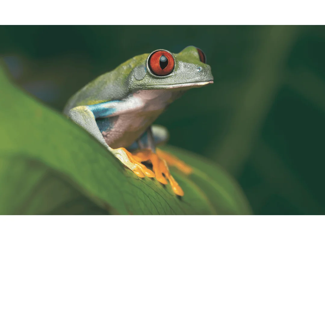 PL 4096/2024 que destina recursos para obras na Amazônia e no Nordeste é aprovado em Plenário da Câmara dos Deputados e vai para sanção