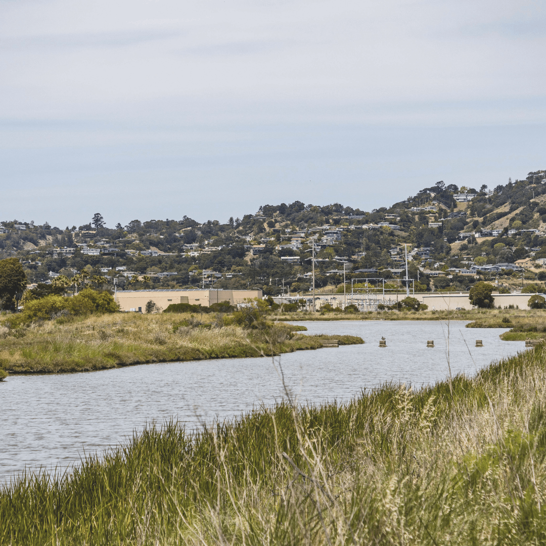 Câmara aprova urgência ao projeto que propõe dragagem e recuperação de margens como missões do Exército