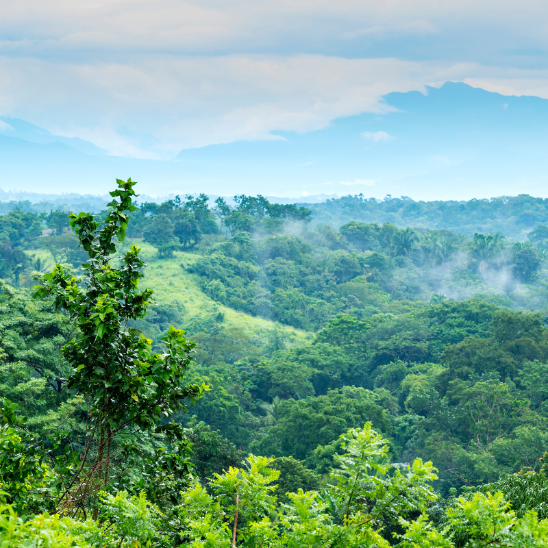 Governo retoma comissão brasileira do programa da Unesco sobre reservas da biosfera
