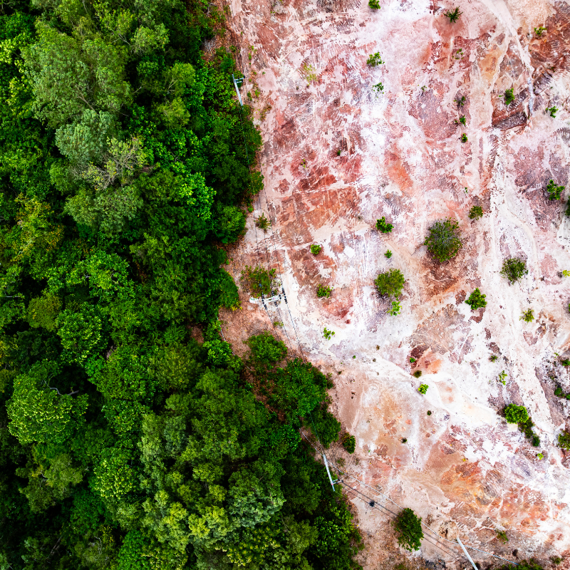 O Governo Federal criou, por meio do Decreto nº 12.673, publicado em 15 de outubro de 2025, a Câmara de Atividades e Empreendimentos Estratégicos. A nova estrutura, coordenada pela Casa Civil e composta por onze ministérios, tem como responsabilidade identificar e classificar projetos e obras como estratégicos para o país, com foco nas iniciativas que precisam ser submetidas ao licenciamento ambiental especial, conforme a Lei nº 15.190, de 2025.