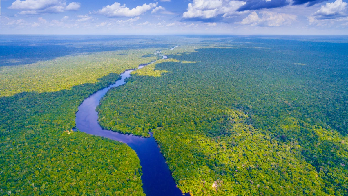 Fundo Amazônia