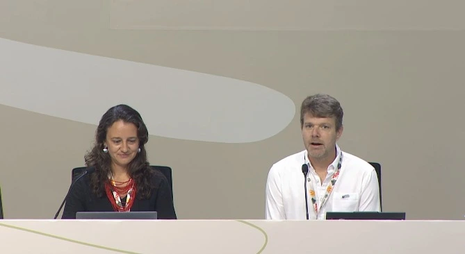 impactos da pecuária no desmatamento global