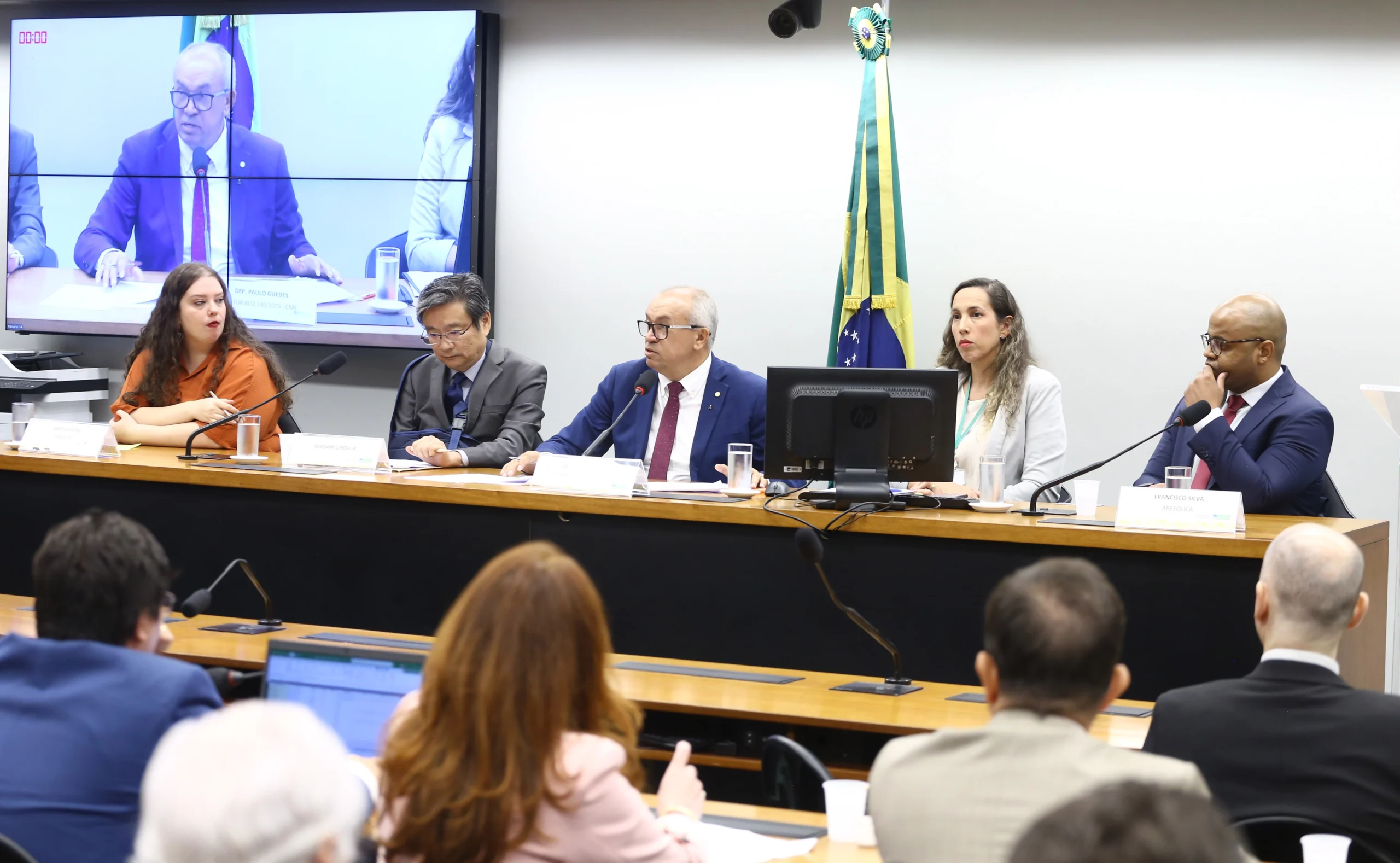 Audiência na Câmara debate alternativas de financiamento para energia renovável diante do curtailment