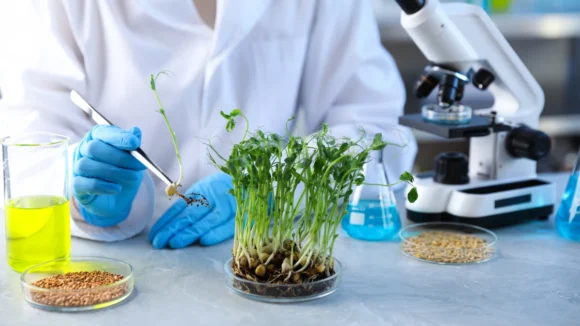 Defensivos Agrícolas Impacto da Lei 14.785 no time-to-market de novas moléculas