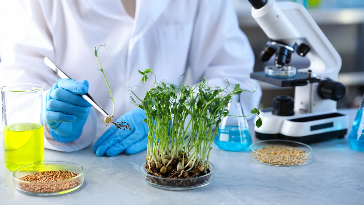 Defensivos Agrícolas Impacto da Lei 14.785 no time-to-market de novas moléculas