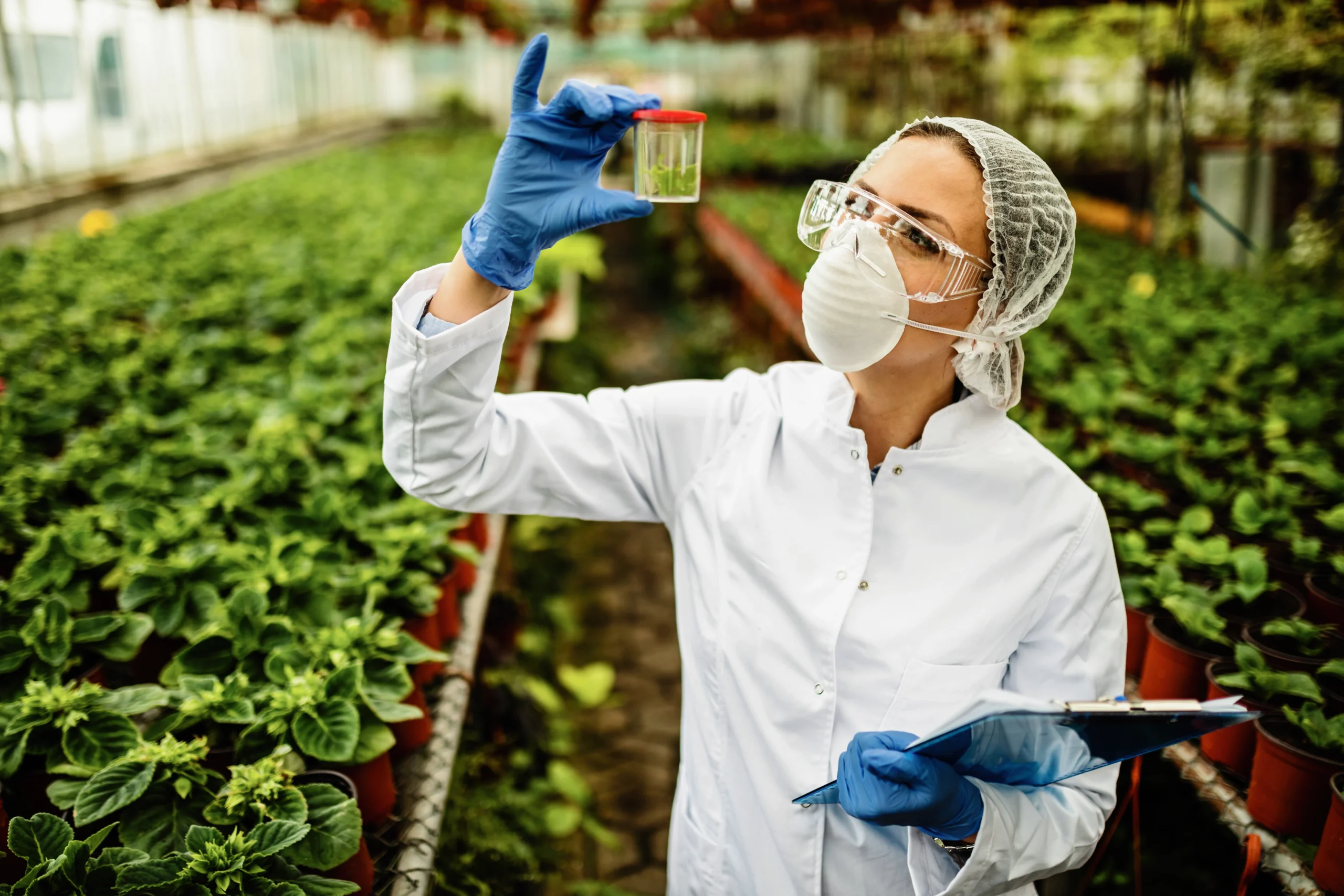 Regulação e biotecnologia no agro brasileiro: entre a inovação e a competitividade global