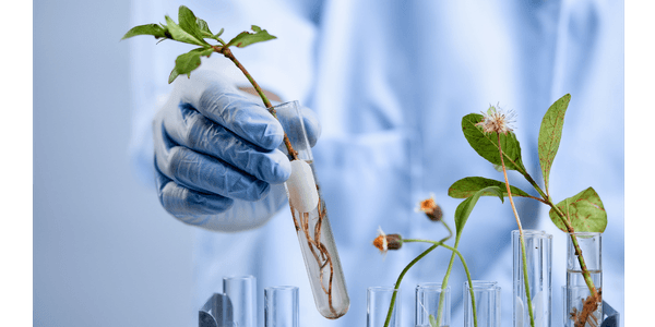 bioeconomia e acesso ao capital