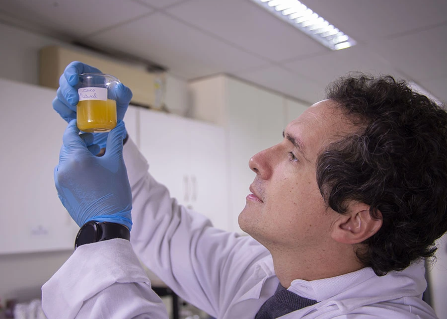 Embrapa e biotecnologia