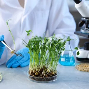 Defensivos Agrícolas Impacto da Lei 14.785 no time-to-market de novas moléculas