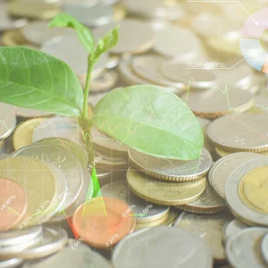 Mercado de créditos de biodiversidade