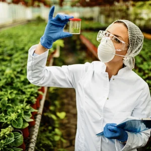 Regulação e biotecnologia no agro brasileiro: entre a inovação e a competitividade global