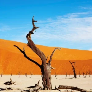 Imagem meramente ilustrativa. Créditos da imagem: Canva/ DmitryPichugin.