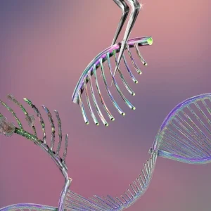 Imagem meramente ilustrativa. Créditos da imagem: Canva/ KEITH CHAMBERS/SCIENCE PHOTO LIBRARY