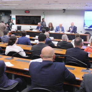 Crédito: Renato Araújo/Câmara dos Deputados