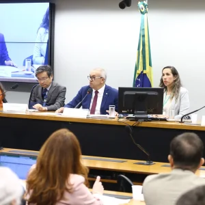 Audiência na Câmara debate alternativas de financiamento para energia renovável diante do curtailment