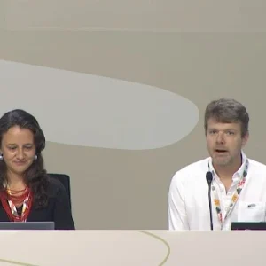 impactos da pecuária no desmatamento global