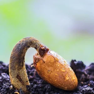 Imagem meramente ilustrativa. Créditos da Imagem: Canva.