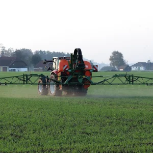 Crédito da imagem: Canva